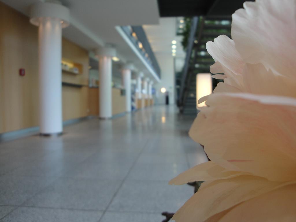 Akademiehotel Dresden Luaran gambar